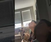 This woman was making her puppy, Moose, howl. Moose, known for being vocal, took up the sound of howling soon after she started making the sound. After a little try, he kept howling, which made the woman laugh out loud.