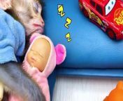Baby Monkey Bon Bon cleans the house and plays Monkey Bon Bon Clean The Room and Play with Cute Duckling In The HomeCrew BonBon #bonbon #babymonkey