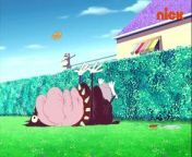Oggy and the Cockroaches Season 03 Hindi Episode 14 Oggy's Grandma from oggy dhakawap com carton download in hindi vide