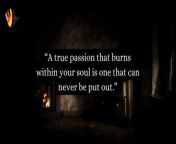 Feeling stuck? Light a fire under your dreams with these powerful quotes about passion! Get ready for a surge of motivation and inspiration to chase what truly sets your soul on fire.&#60;br/&#62;&#60;br/&#62;#thinkingtidbits #quotes #viral #passion #passionate #explore #lifelessons #inspirationalquotes #quotesvideo #motivationalquotes #bestquotes