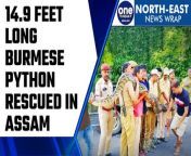 14.9-feet-long Burmese python rescued in Baksa in Assam; Nagaland government warns against agitations involving road blockades, bandhs; Foreign tourists to Sikkim can apply for RAP &amp; PAP online from October; Tripura receives first cargo consignment from Bangladesh &#60;br/&#62; &#60;br/&#62;#BurmesePython #Baksa #Assam