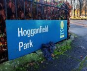 Bird flu- 15 swans found dead in Glasgow park&#60;br/&#62;&#60;br/&#62;15 swans have been found dead in a Glasgow park in the North of the city.&#60;br/&#62;&#60;br/&#62;The birds were discovered at Hogganfield Park, which includes Hogganfield Loch, in the north east of the city and removed today by Defra.&#60;br/&#62;&#60;br/&#62;The Scottish SPCA were also at the scene.&#60;br/&#62;&#60;br/&#62;Glasgow City Council, which looks after the park, said it was assumed that the swans had died from avian flu.&#60;br/&#62;&#60;br/&#62;It also said it expected the number of deaths to rise, with two other swans reported to be sick, and urged people to stay away from dead or sick birds.&#60;br/&#62;&#60;br/&#62;Hogganfield Park is part of the Seven Lochs Gateway and Hogganfield Loch is a large, shallow body of water with a wooded island. It is considered Glasgow&#39;s best site for wintering water birds such as whooper swan and goldeneye duck.&#60;br/&#62;&#60;br/&#62;Glasgow City Council initially tweeted about the discovery of six dead swans on Tuesday afternoon, before later saying the number of deaths had increased to 12. This went up to 15 on Wednesday morning.&#60;br/&#62;&#60;br/&#62;One local, Paul Gallagher, tweeted that he had experienced &#92;