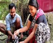 Taste of Kadaknath Chicken । Village Life Of Indian । Village cooking @Tradi-food Sundarban