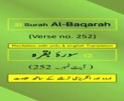 In this video, we present the beautiful recitation of Surah Al-Baqarah Ayah/Verse/Ayat 252 in Arabic, accompanied by English and Urdu translations with on-screen display. To facilitate a comprehensive understanding, we have included accurate and eloquent translations in English and Urdu.&#60;br/&#62;&#60;br/&#62;Surah Al-Baqarah, Ayah 252 (Arabic Recitation): “ تِلۡكَ ءَايَٰتُ ٱللَّهِ نَتۡلُوهَا عَلَيۡكَ بِٱلۡحَقِّۚ وَإِنَّكَ لَمِنَ ٱلۡمُرۡسَلِينَ ”&#60;br/&#62;&#60;br/&#62;Surah Al-Baqarah, Verse 252 (English Translation): “ These are the verses of Allāh which We recite to you, [O Muḥammad], in truth. And indeed, you are from among the messengers. ”&#60;br/&#62;&#60;br/&#62;Surah Al-Baqarah, Ayat 252 (Urdu Translation): “ یہ اللہ تعالیٰ کی آیتیں ہیں جنہیں ہم حقانیت کے ساتھ آپ پر پڑھتے ہیں، بالیقین آپ رسولوں میں سے ہیں۔ ”&#60;br/&#62;&#60;br/&#62;The English translation by Saheeh International and the Urdu translation by Maulana Muhammad Junagarhi, both published by the renowned King Fahd Glorious Qur&#39;an Printing Complex (KFGQPC). Surah Al-Baqarah is the second chapter of the Quran.&#60;br/&#62;&#60;br/&#62;For our Arabic, English, and Urdu speaking audiences, we have provided recitation of Ayah 252 in Arabic and translations of Surah Al-Baqarah Verse/Ayat 252 in English/Urdu.&#60;br/&#62;&#60;br/&#62;Join Us On Social Media: Don&#39;t forget to subscribe, follow, like, share, retweet, and comment on all social media platforms on @QuranHadithPro . &#60;br/&#62;➡All Social Handles: https://www.linktr.ee/quranhadithpro&#60;br/&#62;&#60;br/&#62;Copyright DISCLAIMER: ➡ https://rebrand.ly/CopyrightDisclaimer_QuranHadithPro &#60;br/&#62;Privacy Policy and Affiliate/Referral/Third Party DISCLOSURE: ➡ https://rebrand.ly/PrivacyPolicyDisclosure_QuranHadithPro &#60;br/&#62;&#60;br/&#62;#SurahAlBaqarah #surahbaqarah #SurahBaqara #surahbakara #SurahBakarah #quranhadithpro #qurantranslation #verse252 #ayah252 #ayat252 #QuranRecitation #qurantilawat #quranverses #quranicverse #EnglishTranslation #UrduTranslation #IslamicTeachings #سورہ_بقرہ# سورةالبقرة .