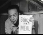 1960s Don Knotts Gaines dog food. don Knotts is sticking his head into the dog house, and trying to convince the pooch to try the new dog food. As Don is leaving the dog house, he sees that his personal photo hanging on the wall is askew. He straightens his photo.&#60;br/&#62;&#60;br/&#62;PLEASE click on the FOLLOW button - THANK YOU!&#60;br/&#62;&#60;br/&#62;You might enjoy my still photo gallery, which is made up of POP CULTURE images, that I personally created. I receive a token amount of money per 5 second viewing of an individual large photo - Thank you.&#60;br/&#62;Please check it out at CLICK A SNAP . com&#60;br/&#62;https://www.clickasnap.com/profile/TVToyMemories