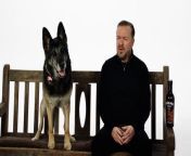 Ricky Gervais reunites with beloved dog from After LifeDutch Barn