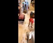 Funny Cat & Dog Video Of All Time New Video Of 2024 from tickle challenge