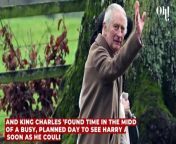Prince Harry’s 45-minute meeting with King Charles could have a secret meaning from dubious meaning gujarati