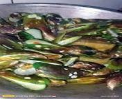 green clam seafood