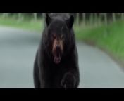 Cocaine bear trailer from paddington bear books uk