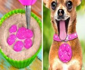 We just can&#39;t get enough of our furry friends and would do absolutely everything for them. How about some cute hacks, gadgets and DIYs that are easy to try at home!? Leave a comment if you want to see more videos like this!TIMESTAMPS: 00:48 - How to make cute pics with your pet03:58 - Dog gadget for food and playing08:12 - DIY Paw cleanser  