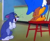 Tom And Jerry - Nit Witty Kitty