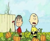 Peanuts Motion Comics - The Great Pumpkin HD from charleyyy pumpkin
