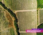 Robotic Systems specialises in the design and manufacture of new types of AI-powered hardware, like a drone farmers can use to automatically detect and spray weeds.&#60;br/&#62;&#60;br/&#62;