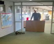 Ducklings take a detour through Peterborough school! from www take one vibe com