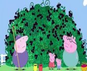 Peppa and George are excited to eat all of the delicious blackberries.&#60;br/&#62;#PeppaPig #PeppaPigFullEpisodes #KidsVideos