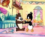 Baby Looney Tunes - School Daze Mary Had a Baby Duck Things That Go Bugs in The Night (in 169 and 1080p) from pratigya tune