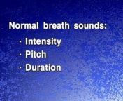 05 Normal Breath Sounds from http video la normal