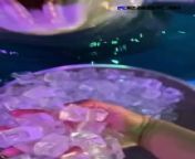 Who knew dolphin loved Ice this much