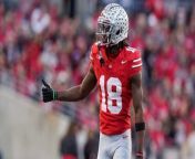 Speculation Surrounds NFL Draft Picks: Patriots and Cardinals from flash player update check