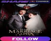 Flash Marriage With My Alpha Part 1 from dick flash drsi