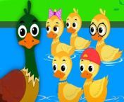 Oh my genius is an online channel which concentrates on high quality animated nursery rhymes, alphabets, train series, numbers, flashcards, how to draw and much more.&#60;br/&#62;.&#60;br/&#62;.&#60;br/&#62;.&#60;br/&#62;.&#60;br/&#62;.&#60;br/&#62;#fivelittleducks #kidssongs #videosforbabies #nurseryrhymes #ohmygenius #kindergarten #preschool #englishkidsvideos #forkids #childrensmusic #kidsvideos #babysongs #kidssongs #animatedvideos #songsforkids #songsforbabies #childrensongs #kidsmusic #cartoon #rhymes #songsforbabies &#60;br/&#62;