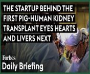 Biotech startup eGenesis developed a gene-edited kidney that was successfully transplanted into a living patient last week. Its CEO says the company is just getting started.&#60;br/&#62;&#60;br/&#62;Read the full story on Forbes: https://www.forbes.com/sites/alexknapp/2024/03/27/the-startup-behind-the-first-pig-human-kidney-transplant-is-targeting-hearts-and-livers-next/?sh=4933b6c34929&#60;br/&#62;&#60;br/&#62;Subscribe to FORBES: https://www.youtube.com/user/Forbes?sub_confirmation=1&#60;br/&#62;&#60;br/&#62;Fuel your success with Forbes. Gain unlimited access to premium journalism, including breaking news, groundbreaking in-depth reported stories, daily digests and more. Plus, members get a front-row seat at members-only events with leading thinkers and doers, access to premium video that can help you get ahead, an ad-light experience, early access to select products including NFT drops and more:&#60;br/&#62;&#60;br/&#62;https://account.forbes.com/membership/?utm_source=youtube&amp;utm_medium=display&amp;utm_campaign=growth_non-sub_paid_subscribe_ytdescript&#60;br/&#62;&#60;br/&#62;Stay Connected&#60;br/&#62;Forbes newsletters: https://newsletters.editorial.forbes.com&#60;br/&#62;Forbes on Facebook: http://fb.com/forbes&#60;br/&#62;Forbes Video on Twitter: http://www.twitter.com/forbes&#60;br/&#62;Forbes Video on Instagram: http://instagram.com/forbes&#60;br/&#62;More From Forbes:http://forbes.com&#60;br/&#62;&#60;br/&#62;Forbes covers the intersection of entrepreneurship, wealth, technology, business and lifestyle with a focus on people and success.
