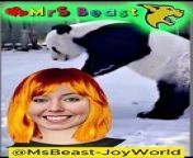 https://www.youtube.com/@MsBeast-JoyWorld-/videos&#60;br/&#62;&#60;br/&#62; S--U--B--S--C--R--I--B--Etojoin our YouTube PARTY and let&#39;s DANCE together!&#60;br/&#62;Ha ha ha, hee hee hee, woo hoo hoo!Clap clap clap, cha cha cha, ho ho hoo!&#60;br/&#62; Boom boom boom, shake shake shake, cha cha cha!Pop, bang, bang, boom, boom!&#60;br/&#62;Tico, Tico, Tico, Yay, Yay, Yay, La La La, do re mi La, Clik Clik! COME ON! SUB!&#60;br/&#62;&#60;br/&#62;&#60;br/&#62;------Your Inquiries--------------------------------------&#60;br/&#62;MsBeast, @MsBeast, @MsBeast-JoyWorld,&#60;br/&#62;MrsBeast, @MrsBeast, @MrsBeast-JoyWorld, Comedy Clips, laugh, laughter, Best Funny Videos, Memes &amp; Jokes, Crazy Laughter Moments, Parody Comedy, Laugh Factory, Sitcom Moments, Quirky Laughs, Comedy Sketches, MrBeast, Funny Animations, Funny Compilation, Funny Animals, Reaction Video, Comedy Dance, Comedy Game, Comedy TV Show, Comedy Circus, SSSniperWolf, #meme, #funnyvideo, #dance, KallMeKris, #funnymemes, #tiktok,#vines, #prank, #explorepage, #trending, Funny Jokes, funniest fortnite, Dance, Comedy Clips, Funny Moments, Hilarious Skits, Comic Vines, Jokes Galore,Laughter Riot,Comedy Moments, party animals funny moments, funny farm animals, animals funny video&#60;br/&#62;Standup Gags, Pranks Gone, Comical Acts, Humor Reel, LOL Moments, Epic Fails, Sketch Comedy, Satire Clips, Gag Show, Quick Laughs, Comedic Bits, Whacky Antics, Best Jokes, Jolly Skits, Crazy Laughter, Side-splitting, Chuckle Time, Hysterical Fun, Silly Sitcoms, Funny Bits,&#60;br/&#62;Light-hearted, Amusing Acts, Parody Clips, Quick Chuckles, Comedy Gold, Jokes &amp; Gags, Prank Frenzy, Funny Jokes Compilation, Satirical Fun, Slapstick Fun, Comedic Gems, Standup Fun, Giggles Galore, Quirky Laughs, Witty Humor, Bloopers Reel, Sketch Humor, Laugh Factory,&#60;br/&#62;Try not to laugh, Prankster&#39;s Fun, Hilarious Duo, Jokesters Club, Comedy Vibes, Crazy Capers, Gag Reel, Whimsical Fun, Silly Skits, Funny Frenzy, Humorous Bits, Playful Acts, Satire Central, Witty Comedy, Prank Mania, Standup Quips, Comedy Haven, Smiles &amp; Giggles, Comedy Clips , Funny Bonanza, Outtakes Fun, Hilarious Shots, Joke Parade, Laugh Lines, Amusing Antics, Parody Gems, #shorts, #funny, #comedy, Quick Quirks, Comedy Vibes 2, Comedy Clips Fun, Hilarious Skit Show, Funny Moments Laughs, Quick Comedy Bits, Standup Humor Acts, Jokes &amp; Gags Galore, Crazy Comedy Vines, Hot Jokes, Adult Jokes, LOL Moments Chuckles, Best Funny Videos, Satirical Gag Show, Whacky Comedy Acts, Silly Sketch Humor, Side-splitting Laughs, Epic Fails Comedy, Pranks &amp; Funnies, Humor Reel Clips, Quick Laughter Dose, Memes &amp; Jokes, Funny Bloopers Reel, Playful Skit Show, Comedy Central Fun, Comedy Duo Acts, Quirky Laughter Moments, Laughter Riot Fun, Hysterical Comedy Show, Parody Comedy Skits, Giggles &amp; Chuckles, Laugh Craze, Standup Comedy Gold, Witty Comedy Acts, Funny Video Gems, Crazy Capers Fun, Jolly Comedy Vibes, Light-hearted Laughs, Comedy Frenzy Clips, Chuckle Time Moments, Prankster&#39;s Laughter, Funny Moments Galore, Gag Reel Fun, Humorous Comedy Bits, Laugh Factory Show, Sketch Com