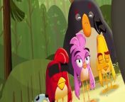 Angry Birds Summer Madness S03 E002 from angry birds surprise eggs